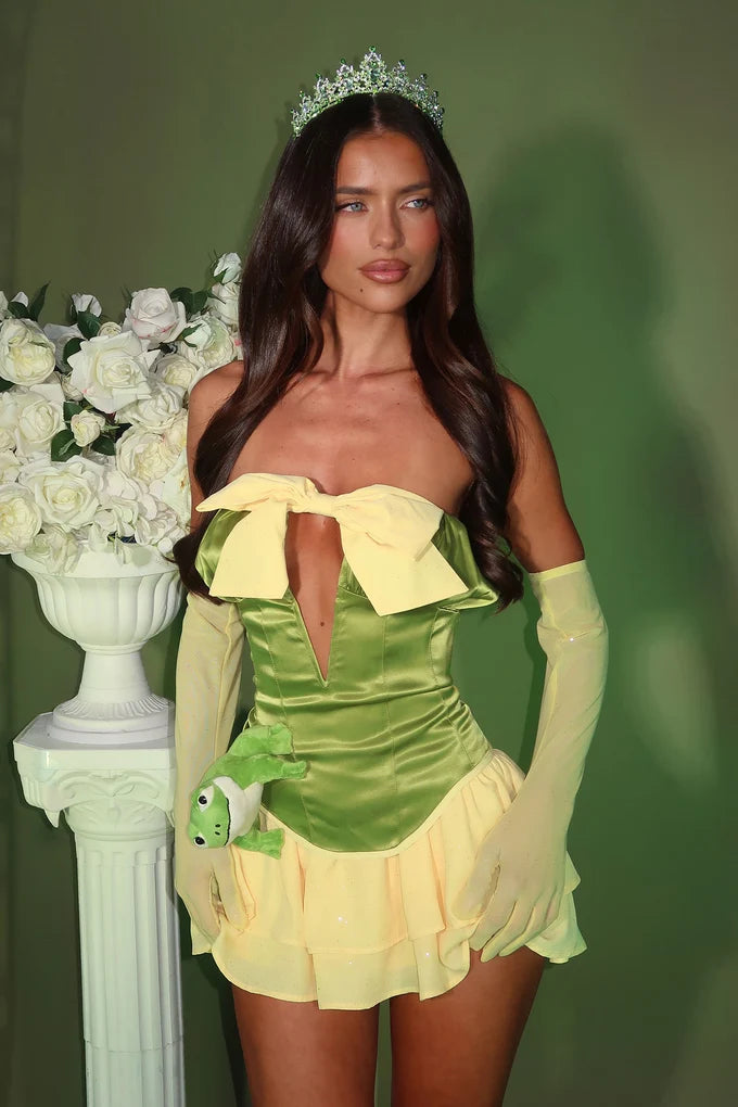 Kiss The Frog Costume
