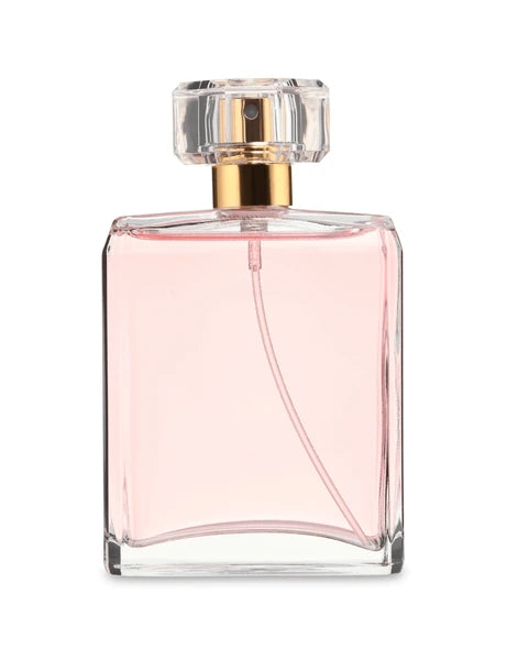 Nuit de Baies | Fragrance