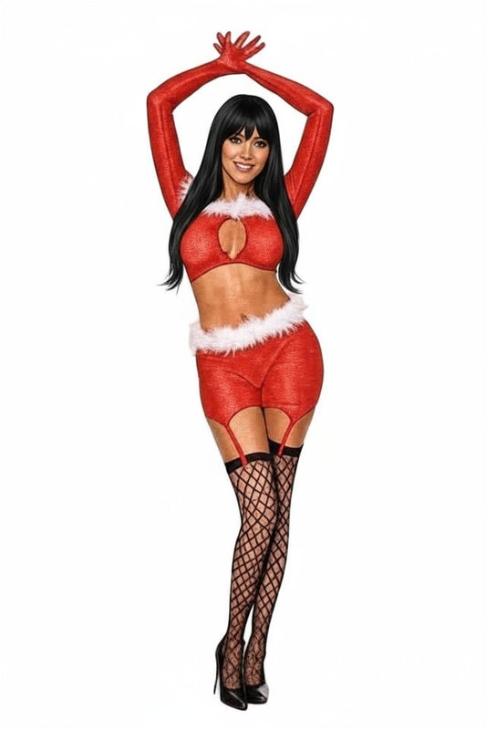 Seductive Mrs. Claus costume set in red velvet with white fur trim - sexy holiday lingerie ensemble
