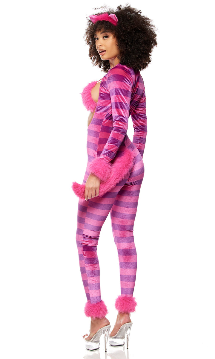 Whisker Wonderland 4-Piece Women's Movie Character Costume, Multicolor, photo 2